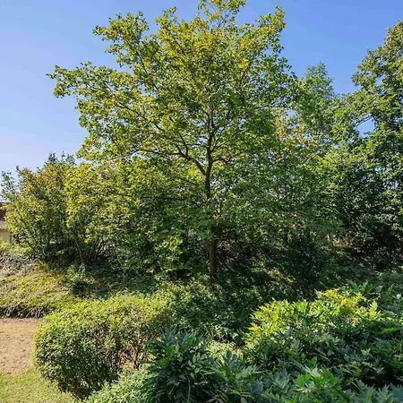 Ferienwohnpark Ein-zimmer-apartment 51 10 * Immenstaad am Bodensee